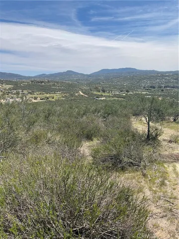 a view of a field with an ocean