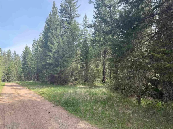 $145,000 | 67 First Thought Loop, Laurier, WA 99146