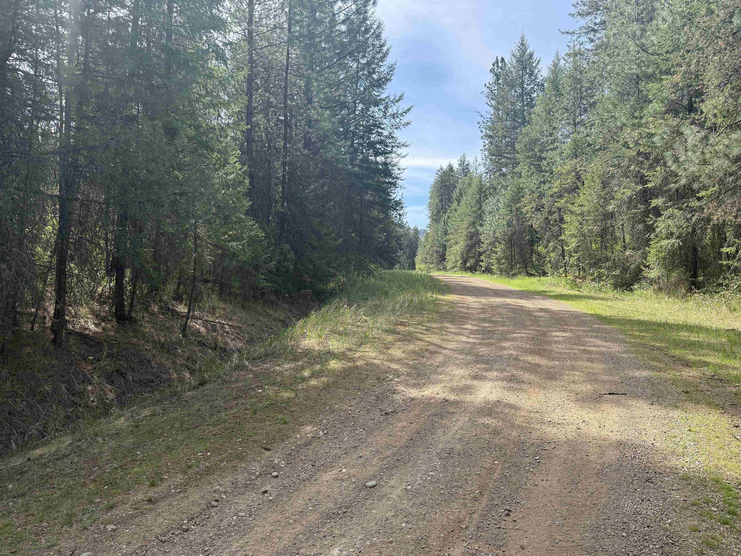 67 First Thought Loop Laurier, WA 99146 - Photo 11 of 17