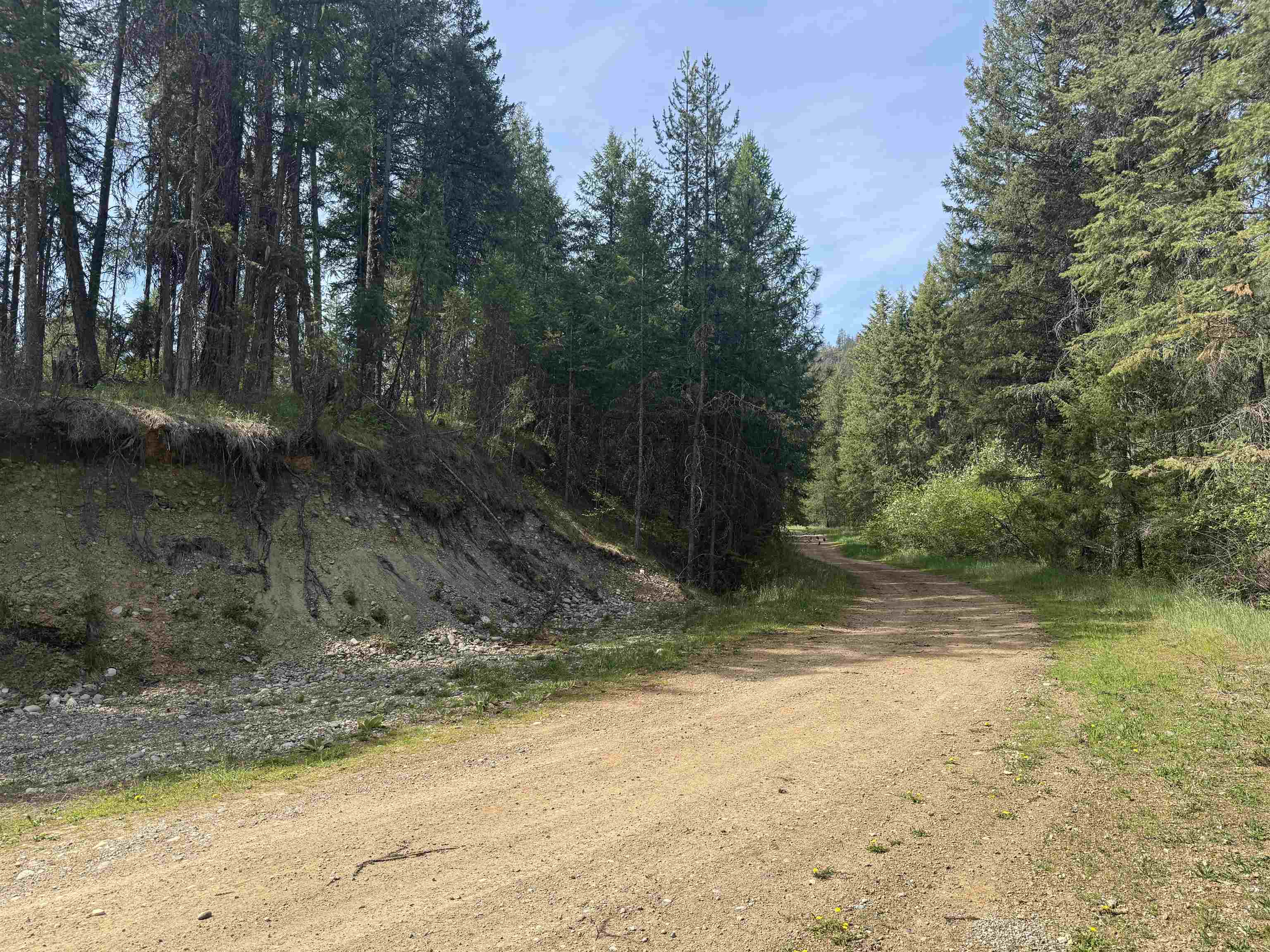 67 First Thought Loop Laurier, WA 99146 - Photo 12 of 17