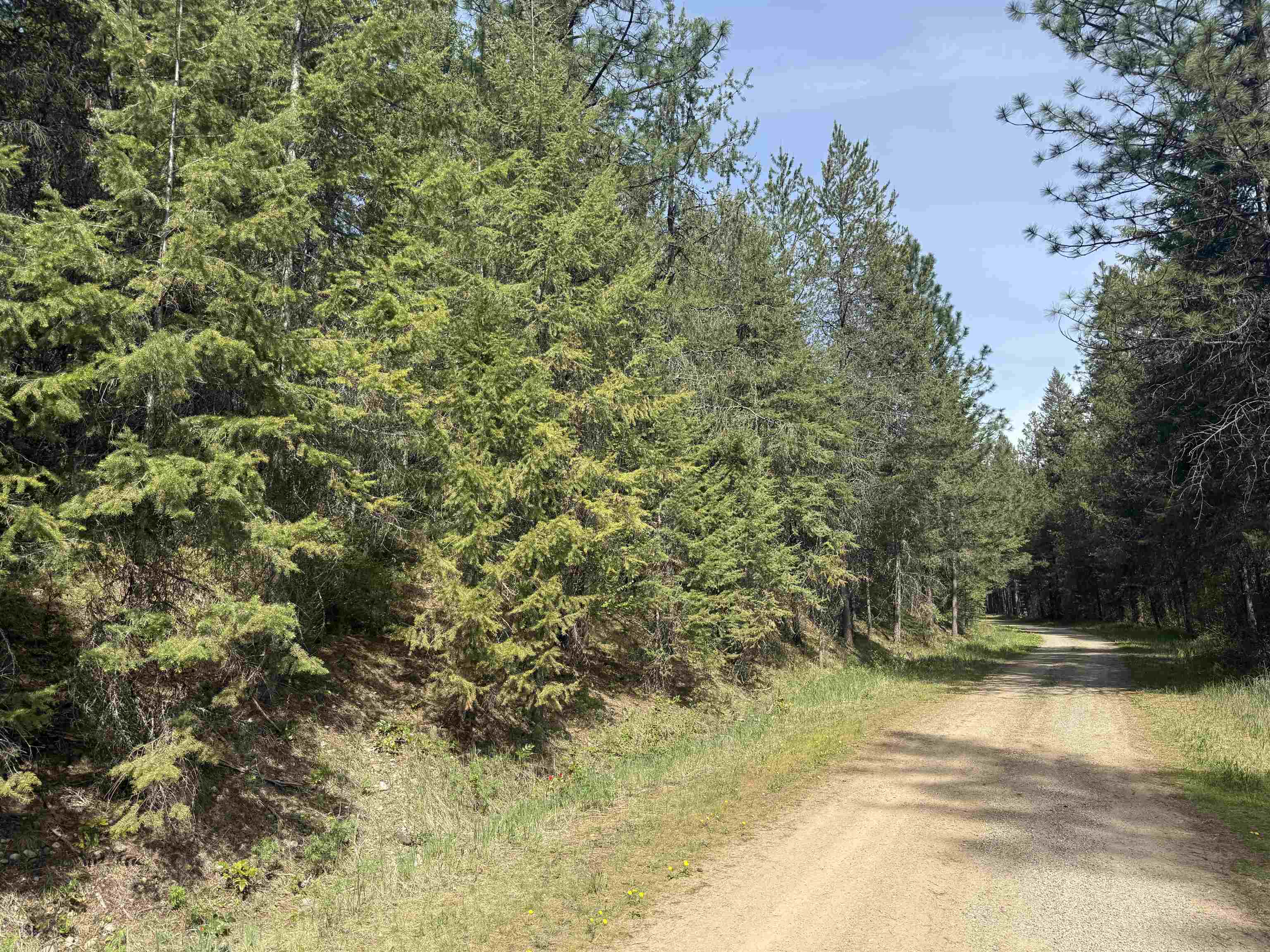 67 First Thought Loop Laurier, WA 99146 - Photo 17 of 17