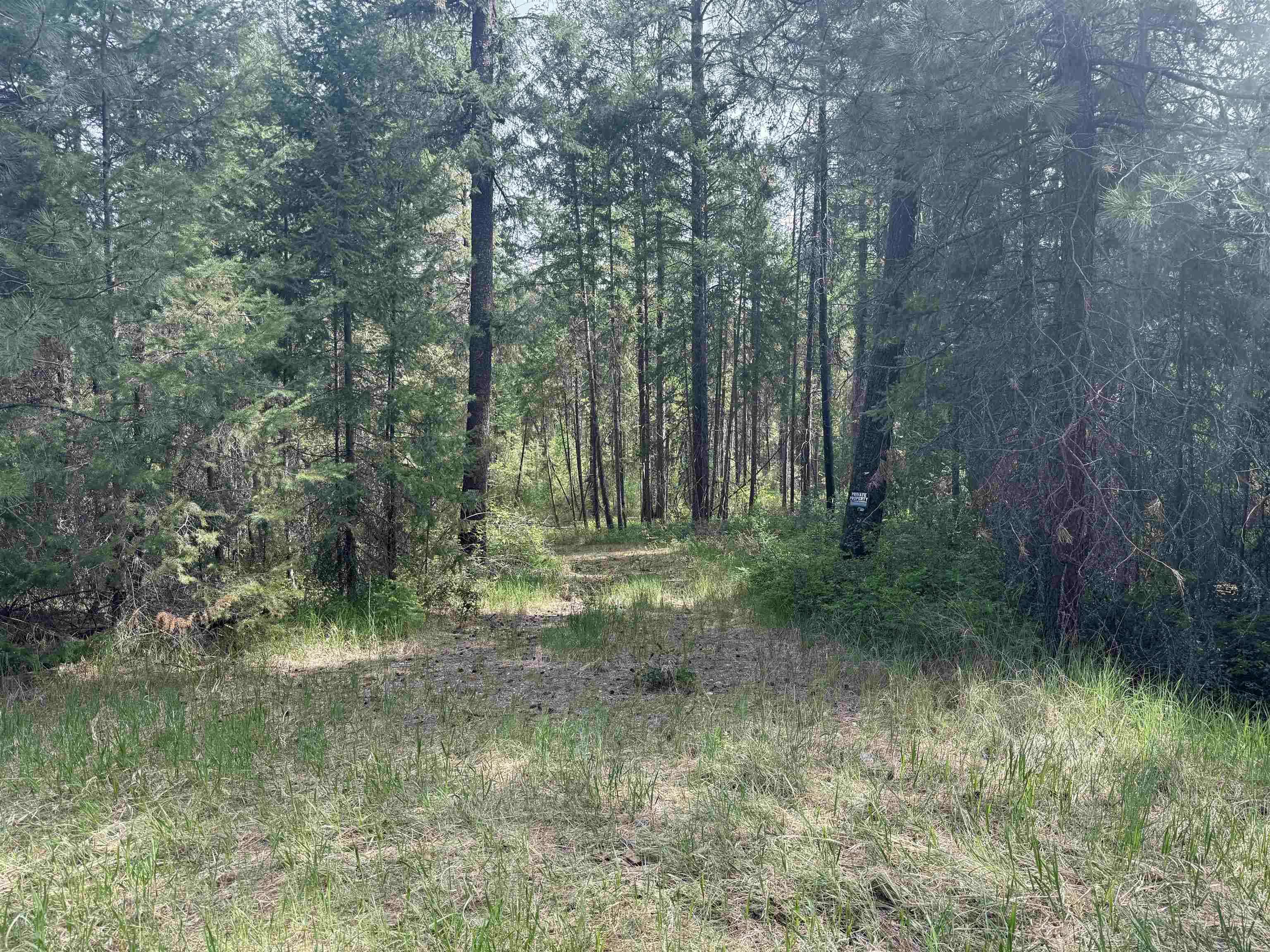 67 First Thought Loop Laurier, WA 99146 - Photo 2 of 17