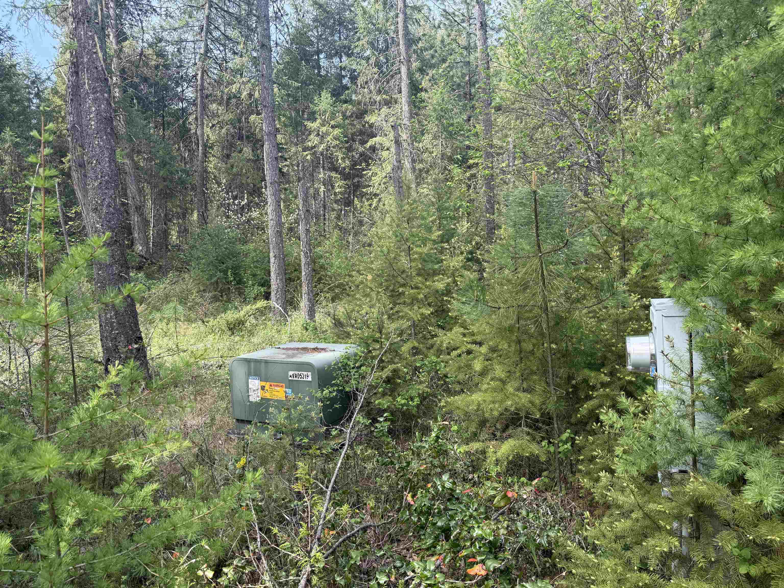 67 First Thought Loop Laurier, WA 99146 - Photo 4 of 17