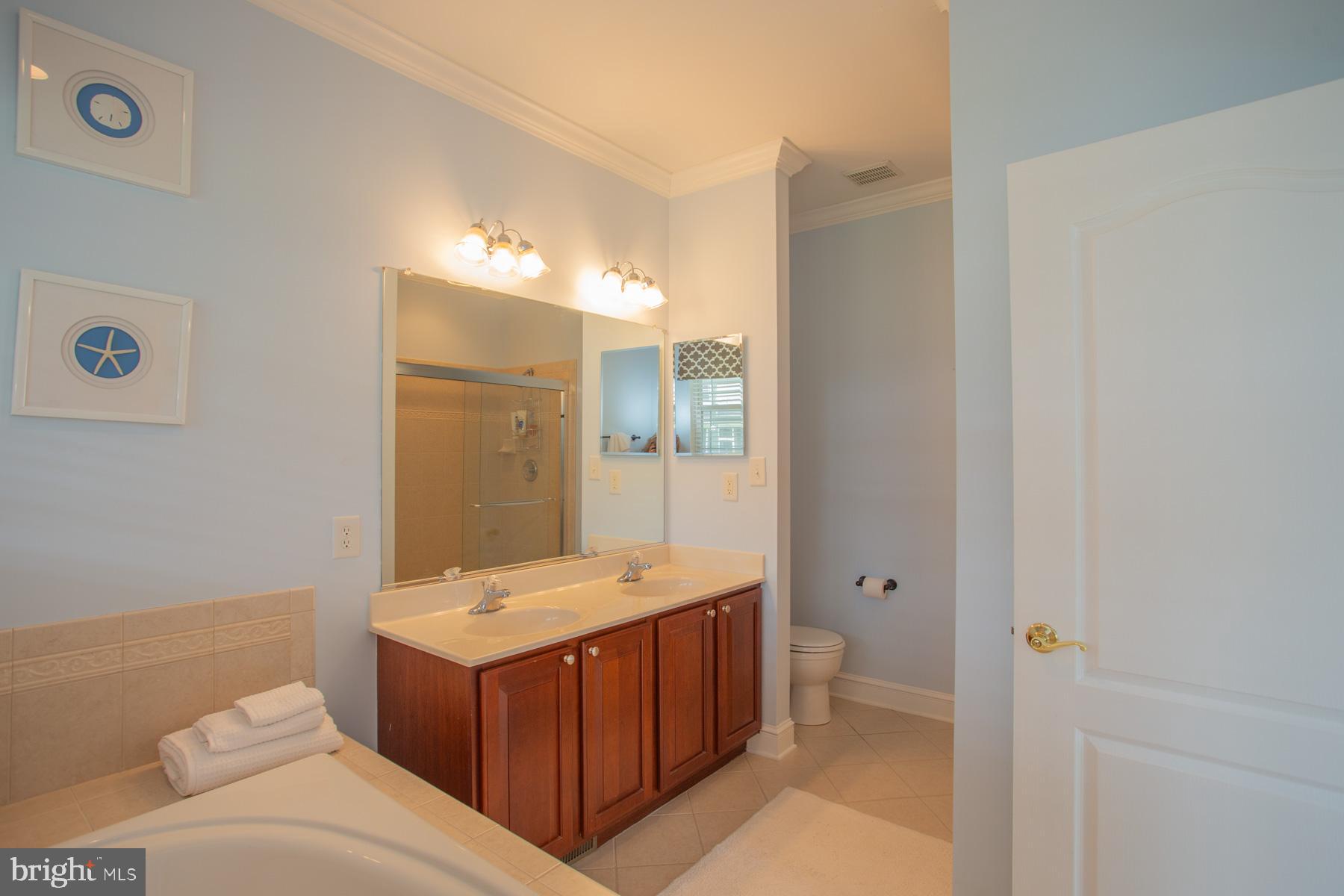 17199 Exton Street Lewes, DE 19958 - Photo 18 of 44 Primary Bath vanity