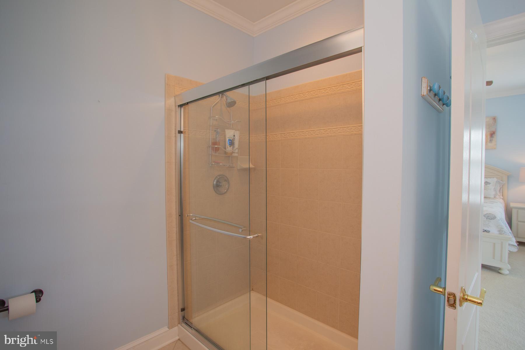 17199 Exton Street Lewes, DE 19958 - Photo 20 of 44 Primary Walk-In Shower