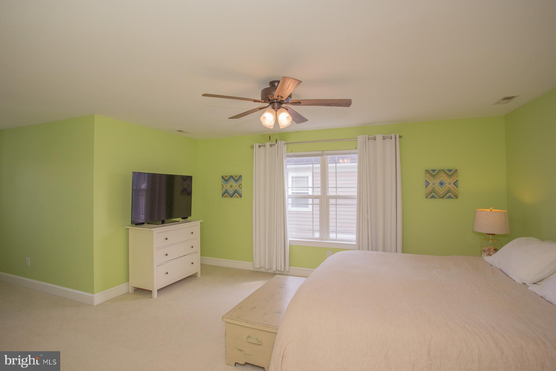 17199 Exton Street Lewes, DE 19958 - Photo 27 of 44 Upper level Primary BR