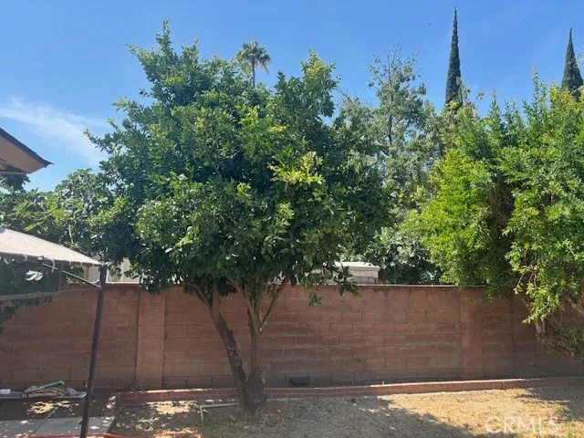 a view of a yard with a tree