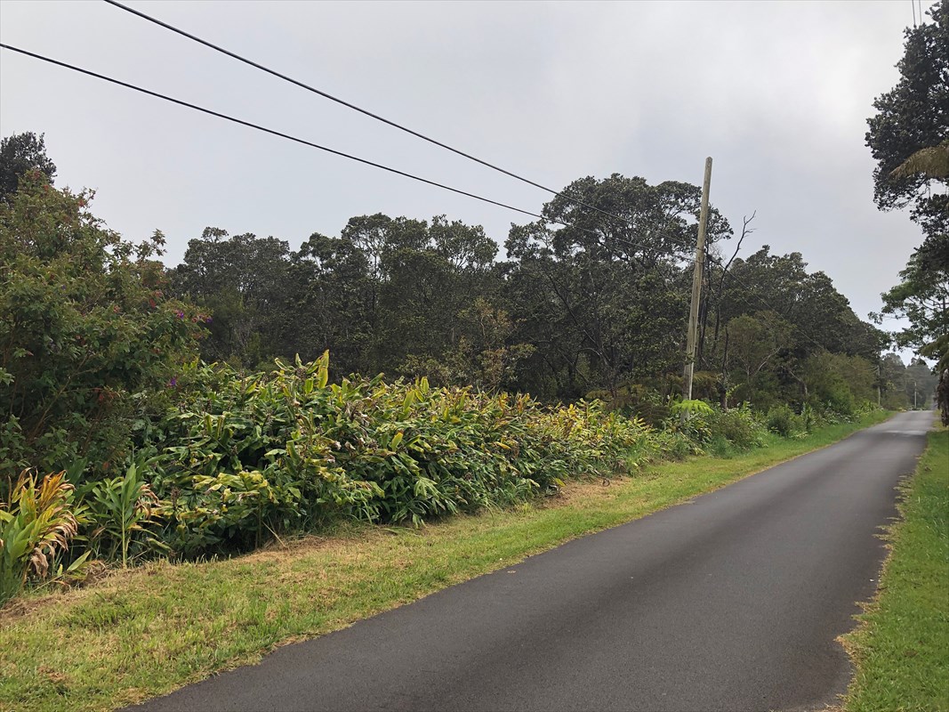 19-3971 Kilauea Road Volcano, HI 96785 - Photo 2 of 8 Gallery Image 2