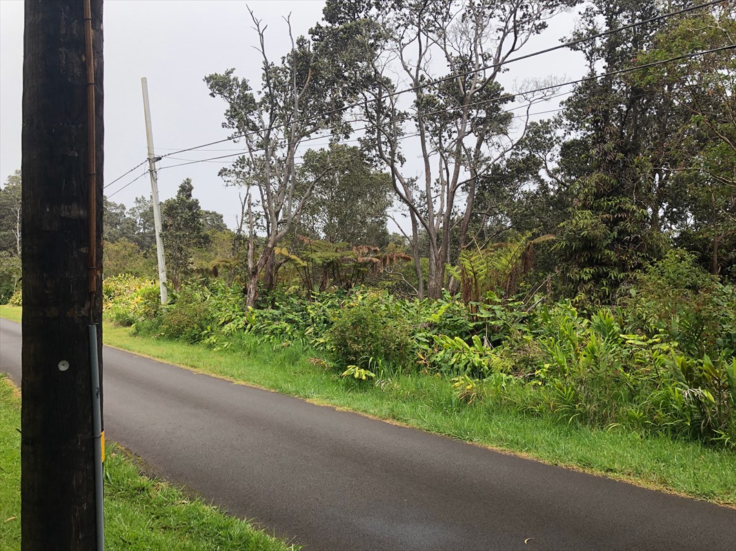 19-3971 Kilauea Road Volcano, HI 96785 - Photo 3 of 8 Gallery Image 3