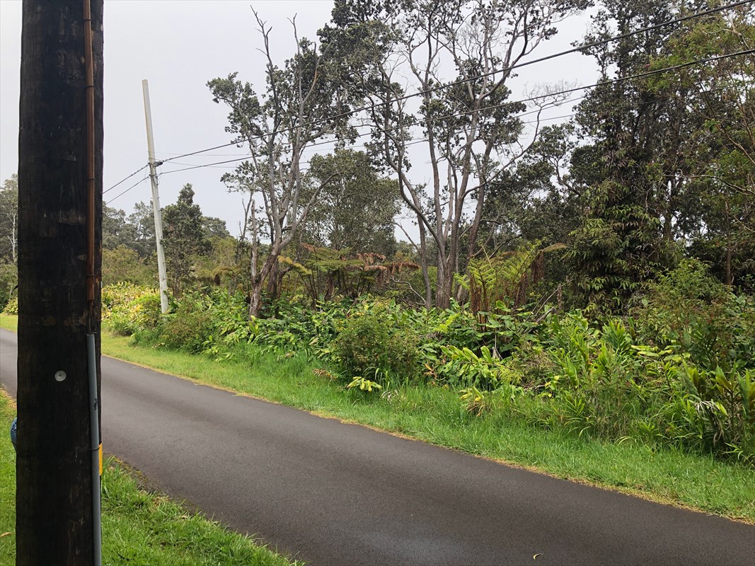 19-3971 Kilauea Road Volcano, HI 96785 - Photo 4 of 8 Gallery Image 4