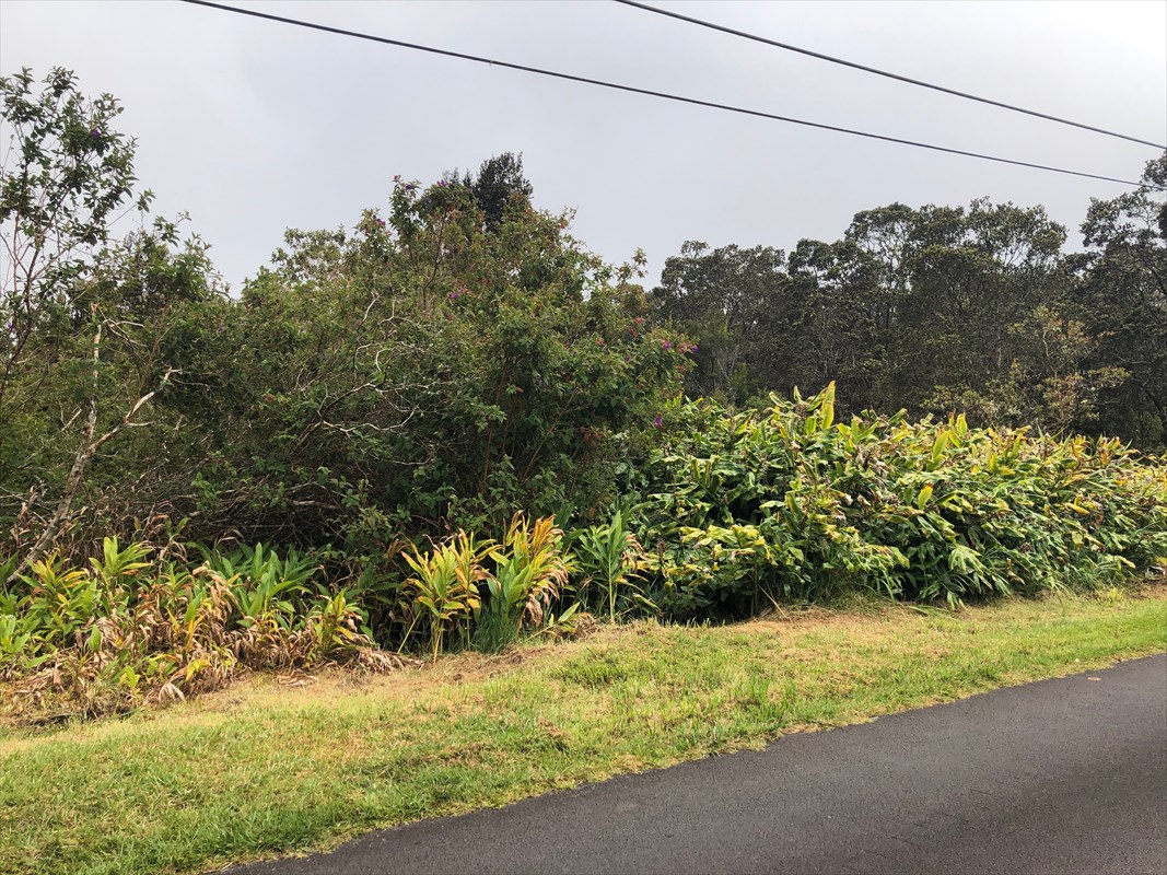 19-3971 Kilauea Road Volcano, HI 96785 - Photo 6 of 8 Gallery Image 6