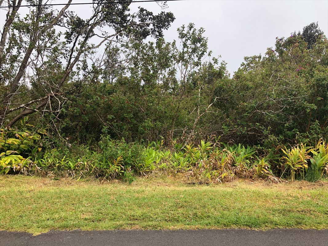 19-3971 Kilauea Road Volcano, HI 96785 - Photo 8 of 8 Gallery Image 8