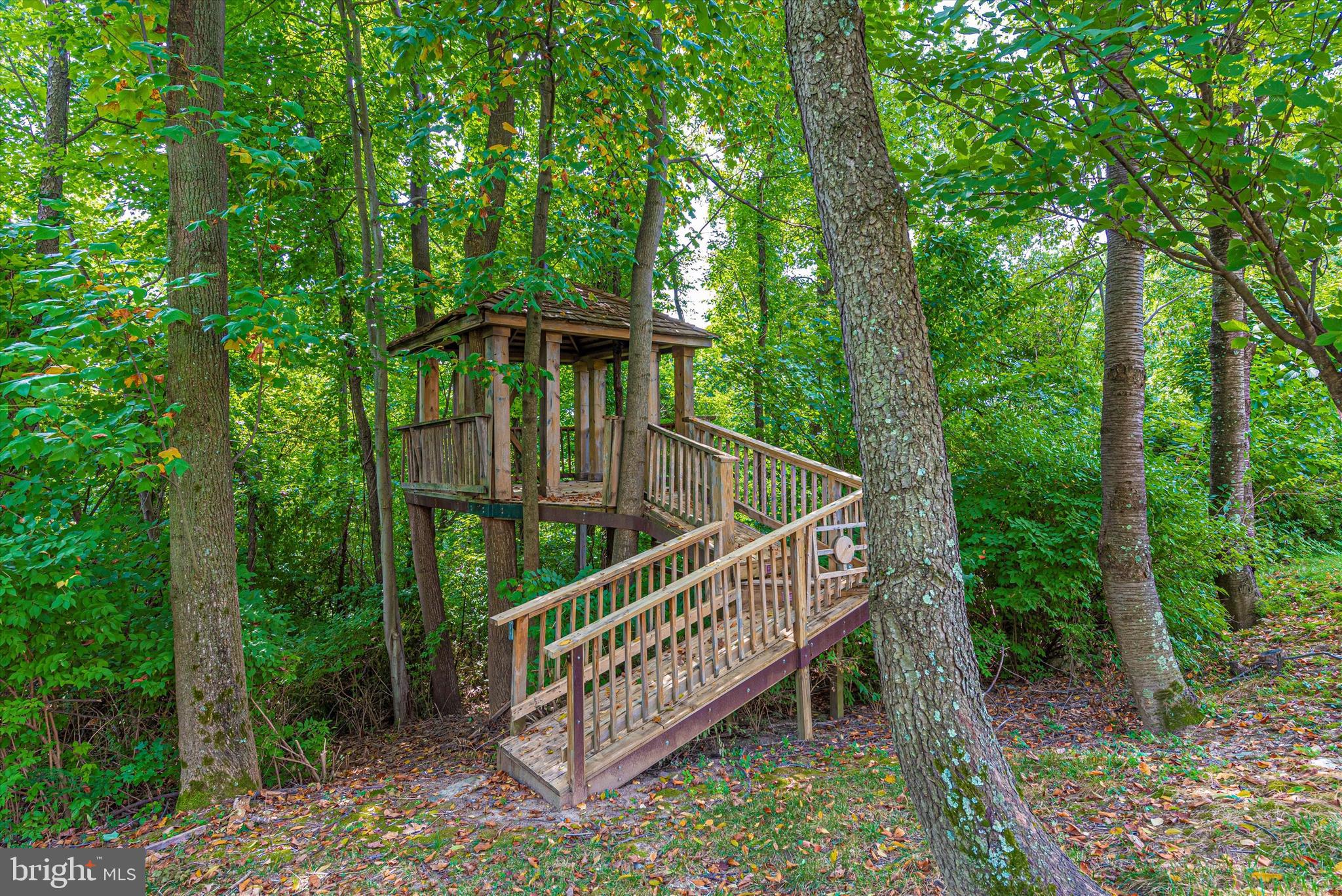 8310 Edgewood Church Road Frederick, MD 21702 - Photo 24 of 107 your own tree house!