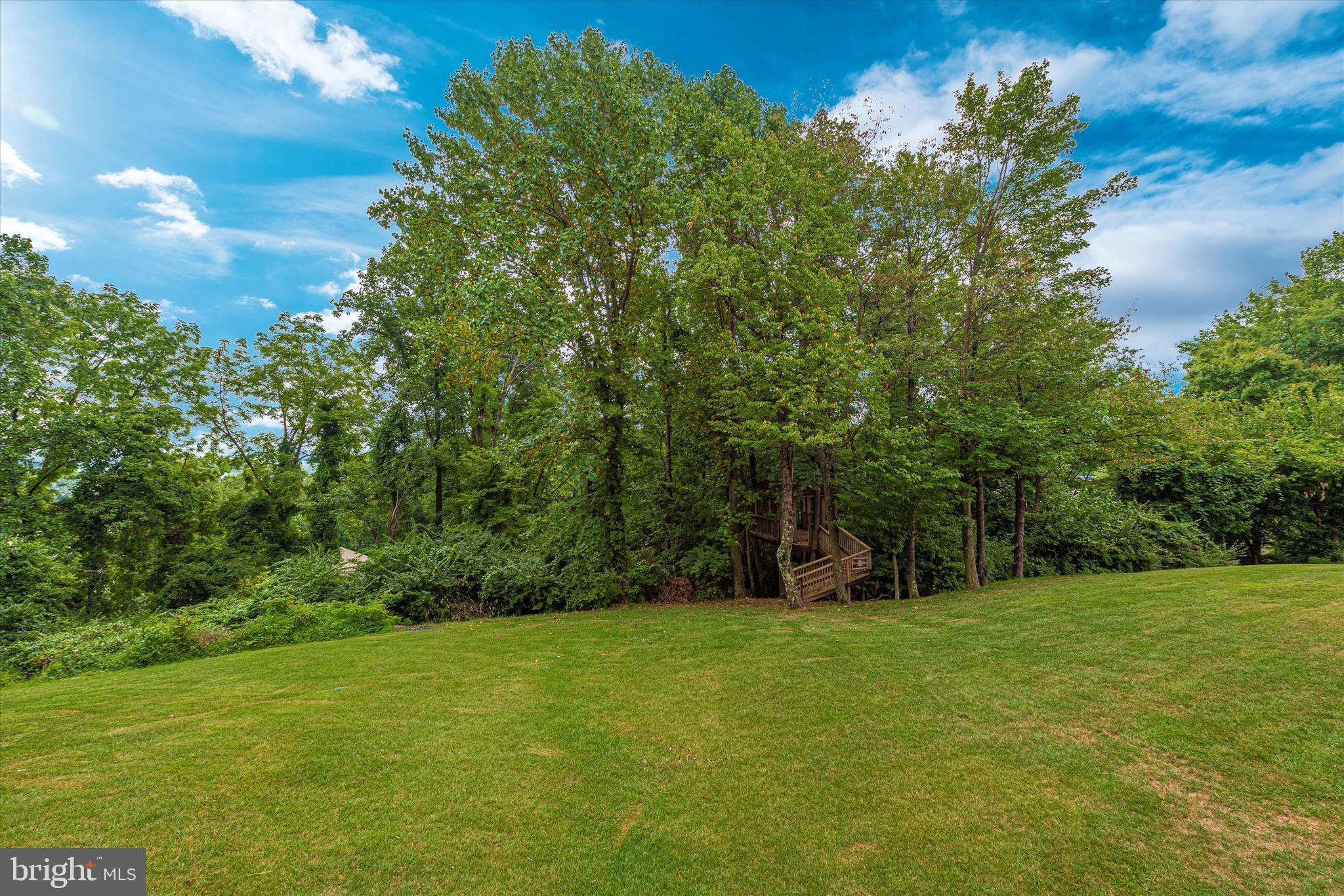 8310 Edgewood Church Road Frederick, MD 21702 - Photo 79 of 107