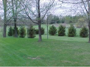 5107 Pine Road Plymouth, IN 46563 - Photo 4 of 6 Gallery Image 4