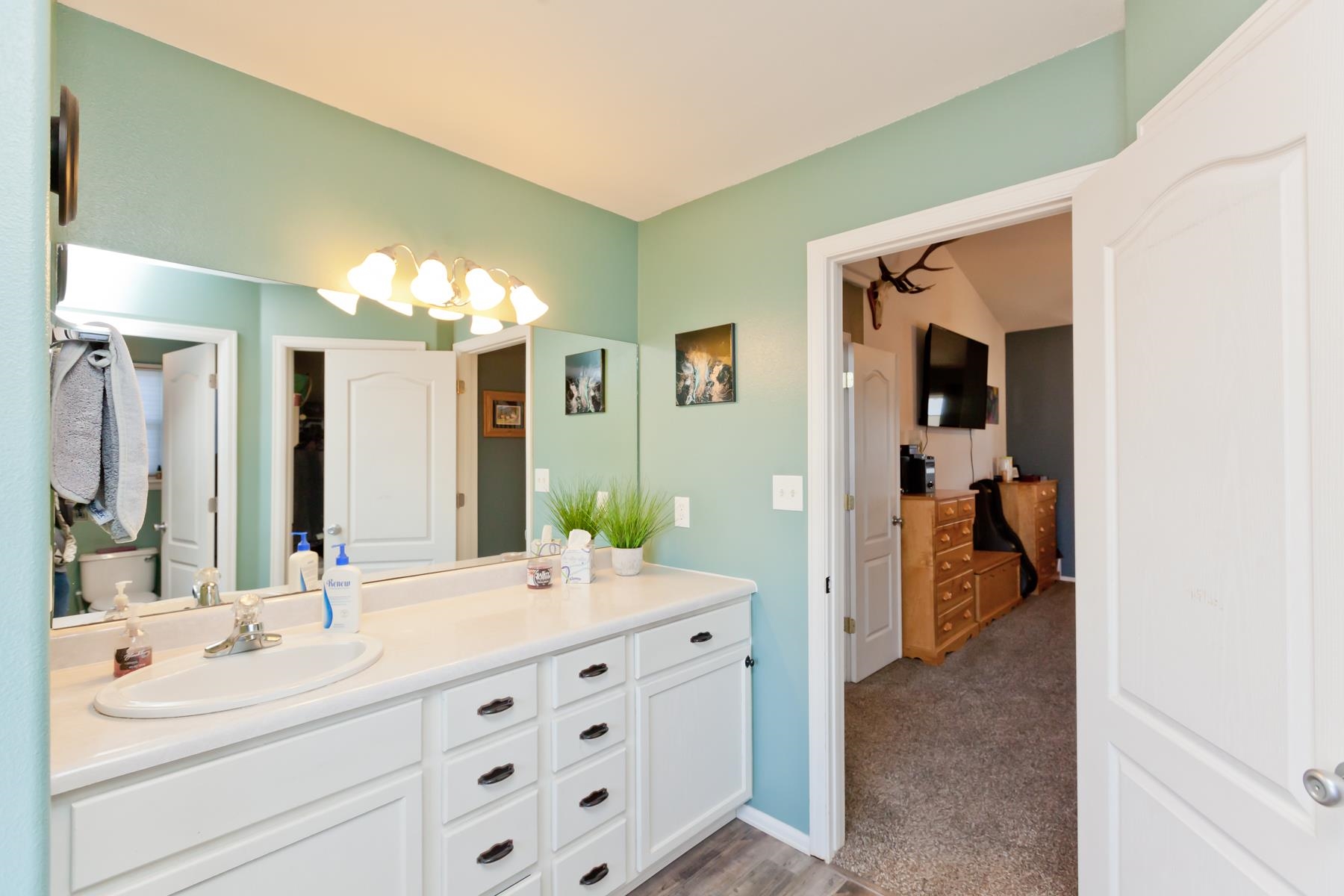 173 Sierra Drive Fruita, CO 81521 - Photo 20 of 40 a en suite bathroom with a double vanity sink and mirror