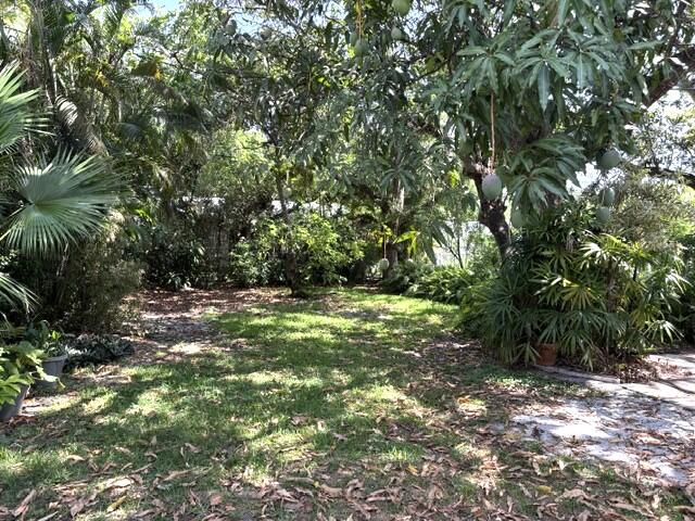 44 Southwest 5th Street Dania Beach, FL 33004 - Photo 36 of 37 yard512
