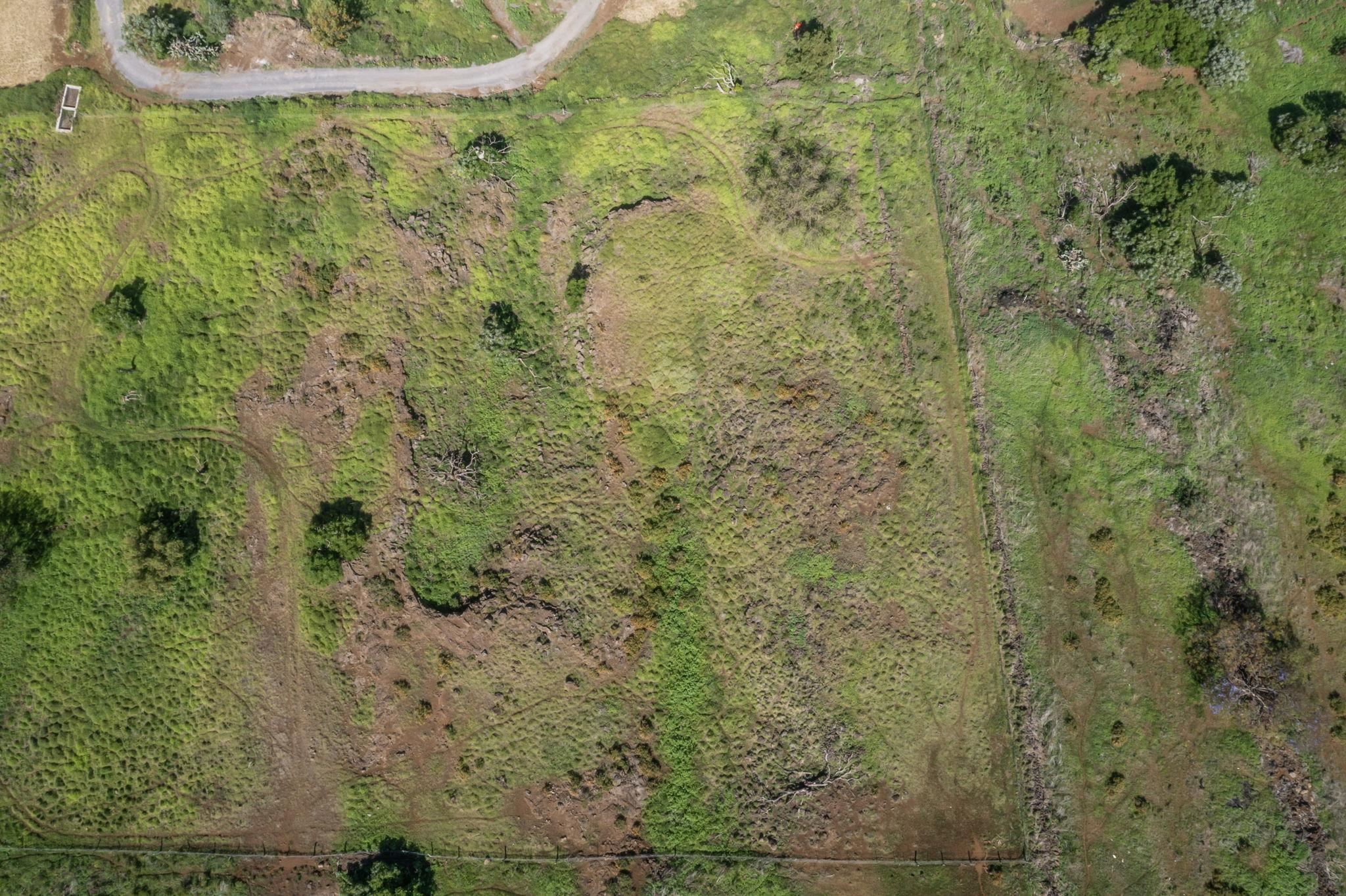 0 Calasa Road Kula, HI 96790 - Photo 33 of 39