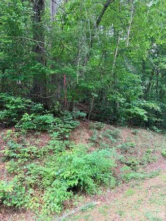 $879,000 | Tbd North Marley Ford Road, Ferguson, NC 28624