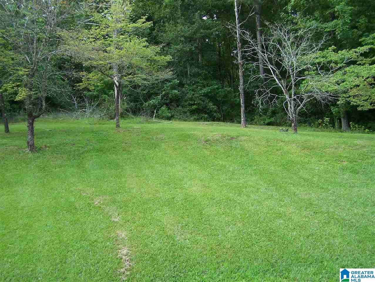 1835 Alexandria Road Weaver, AL 36277 - Photo 26 of 34