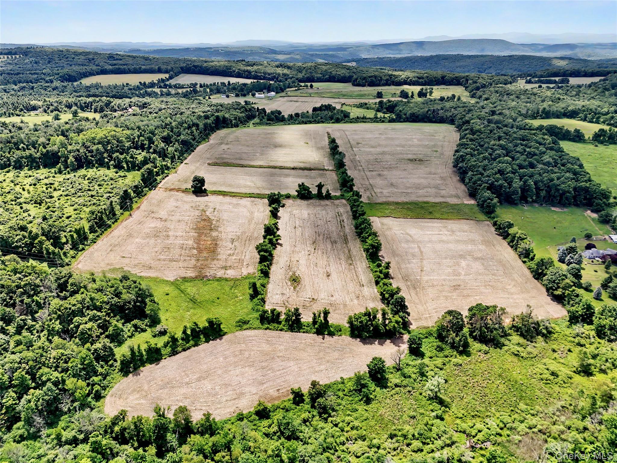 317 Skunks Misery Road Millerton, NY 12546 - Photo 4 of 8