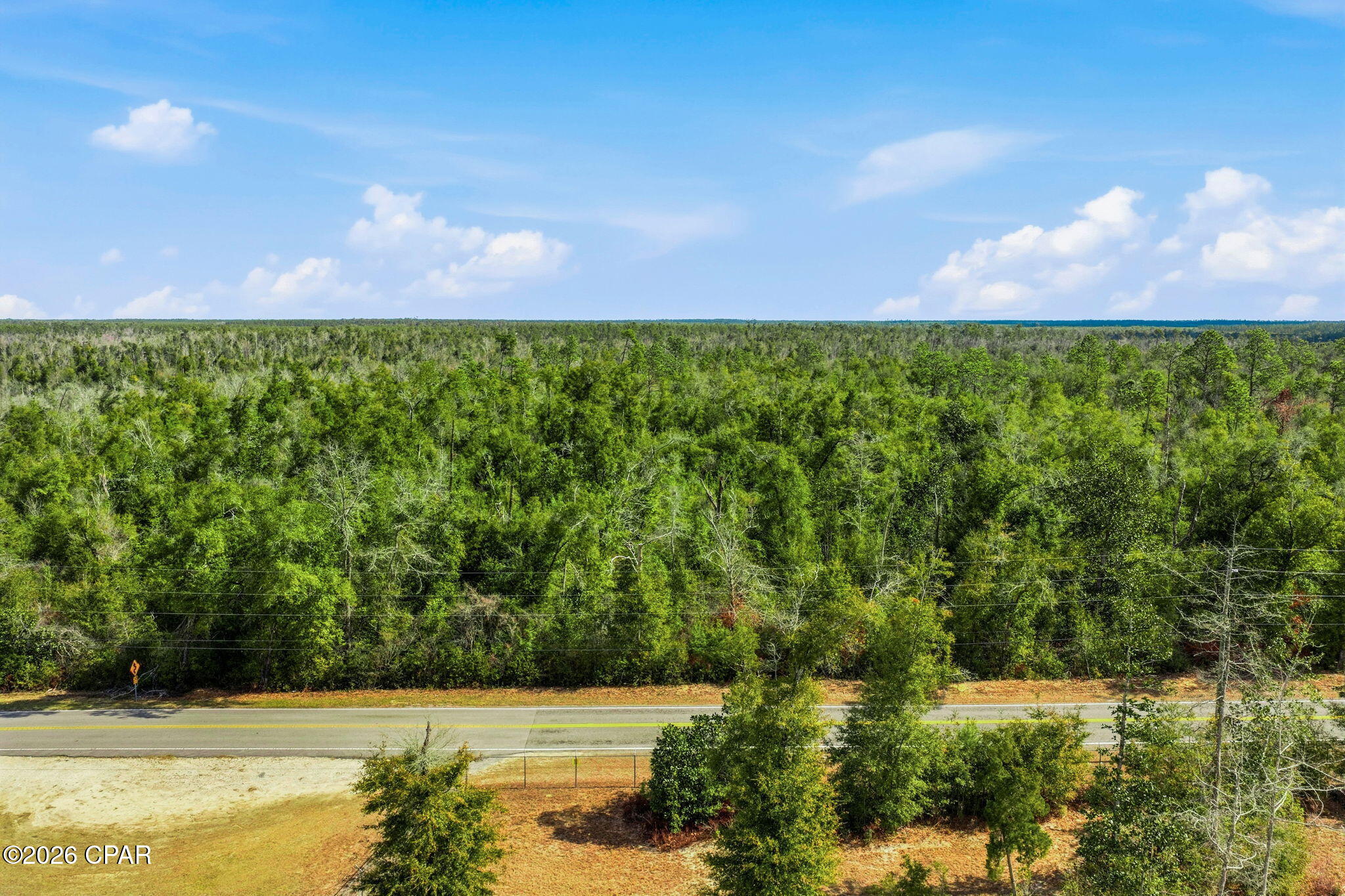 0 Blue Springs Road Youngstown, FL 32466 - Photo 3 of 18