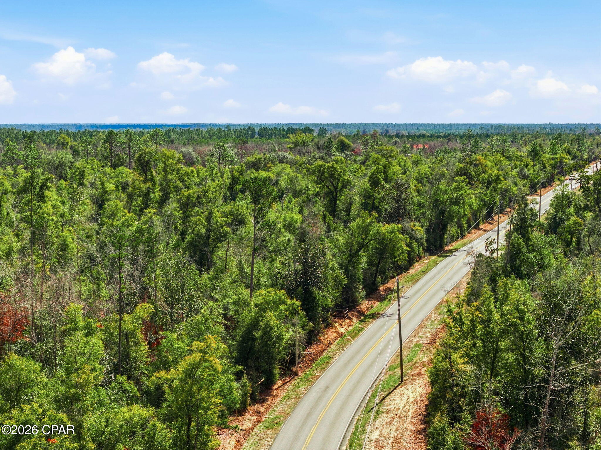 0 Blue Springs Road Youngstown, FL 32466 - Photo 4 of 18