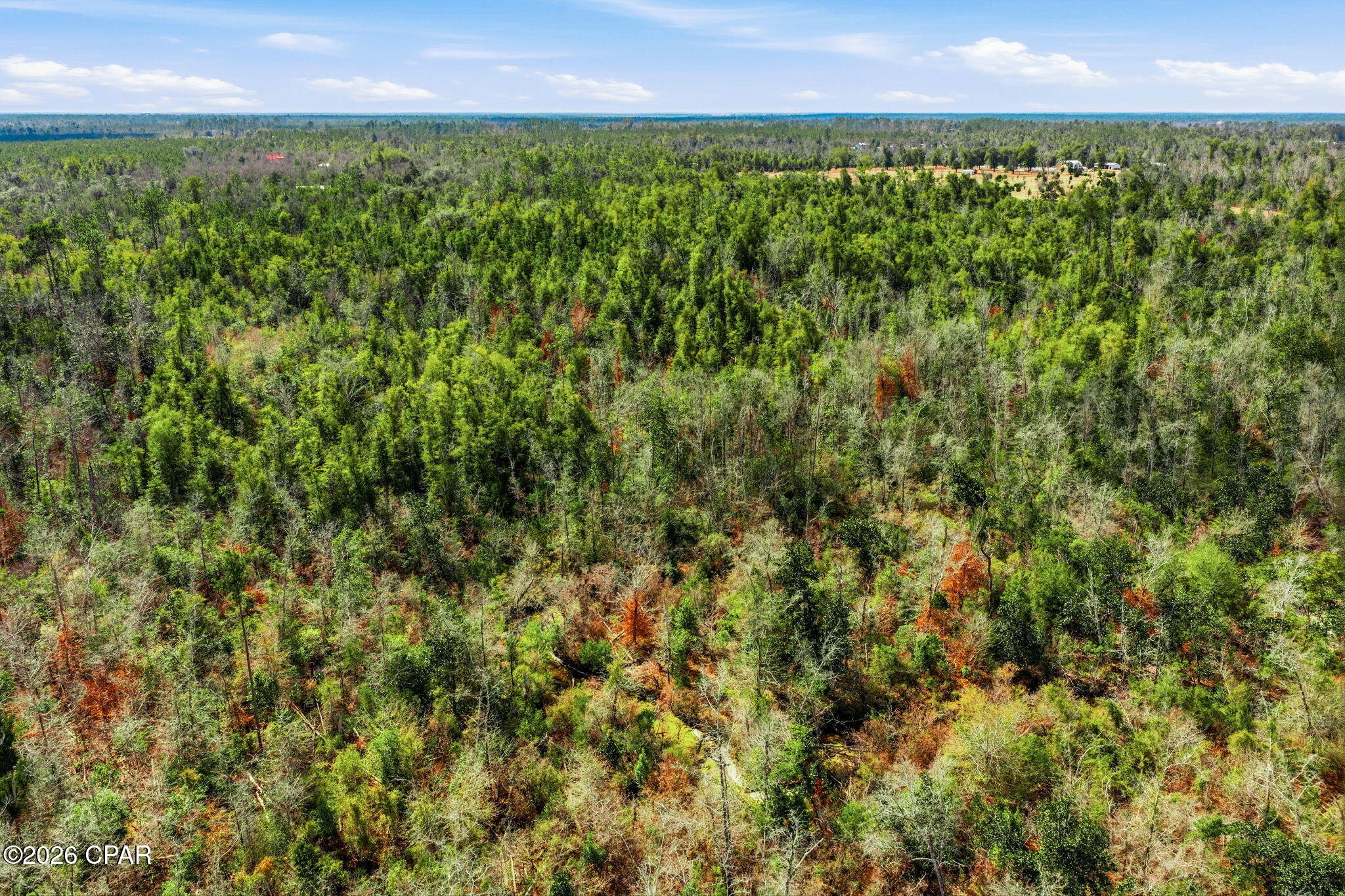 0 Blue Springs Road Youngstown, FL 32466 - Photo 5 of 18