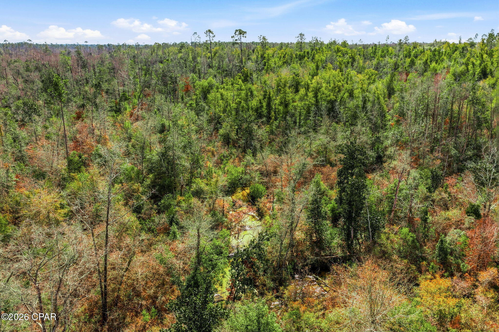 0 Blue Springs Road Youngstown, FL 32466 - Photo 6 of 18