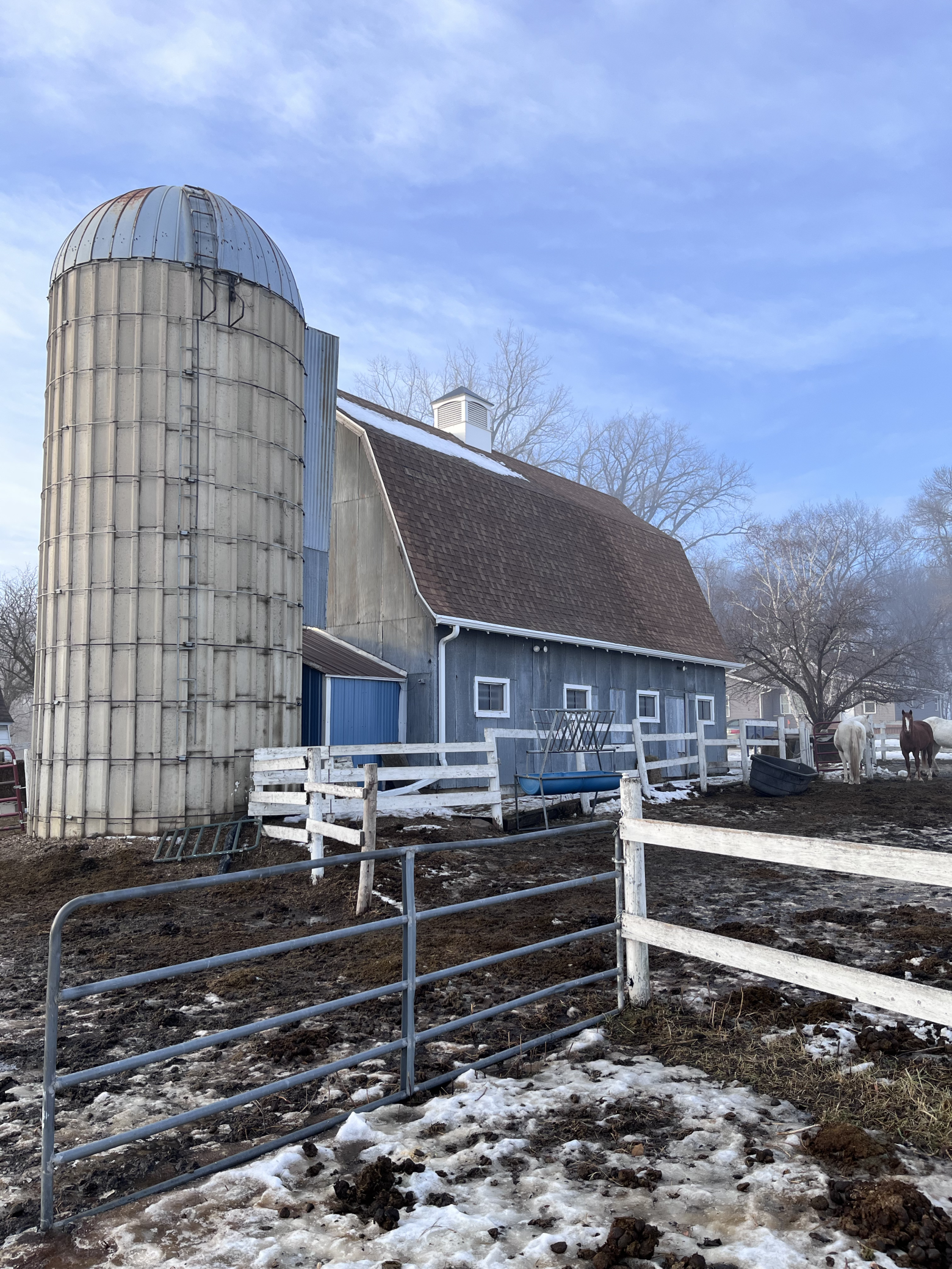 21510 430th Avenue Morris, MN 56267 - Photo 36 of 47