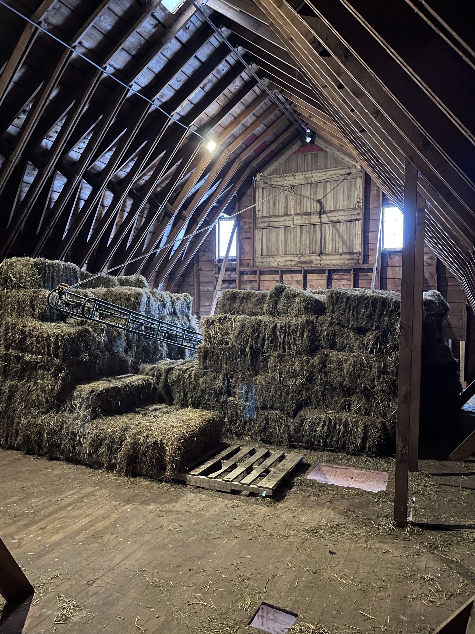 21510 430th Avenue Morris, MN 56267 - Photo 42 of 47