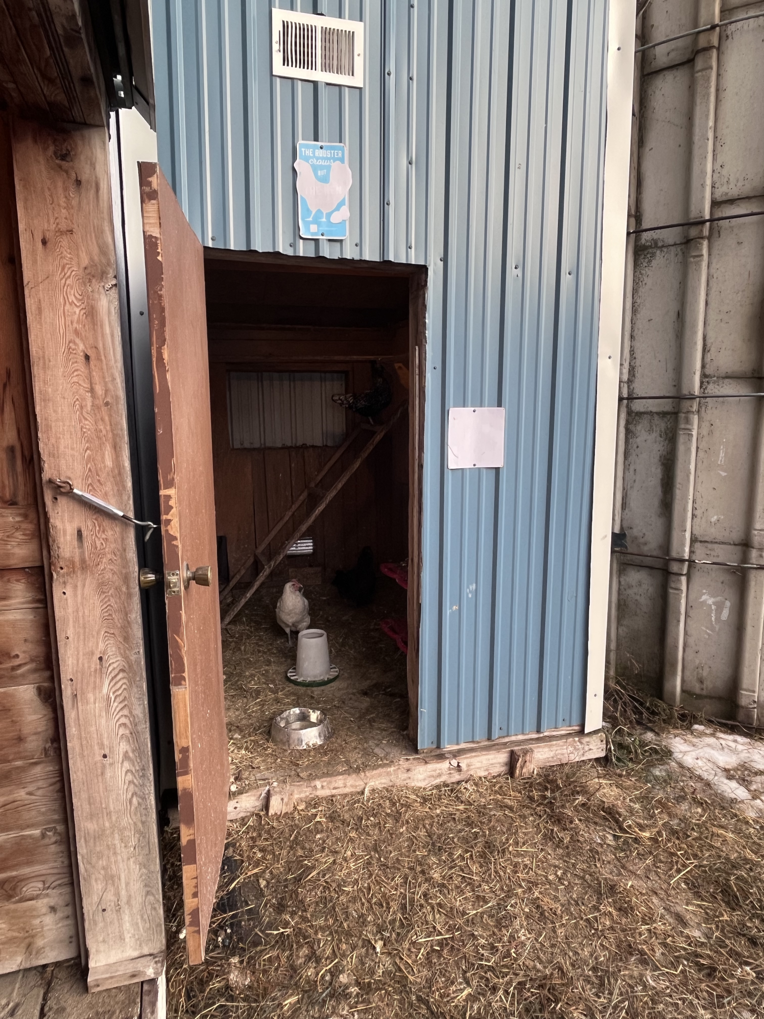 21510 430th Avenue Morris, MN 56267 - Photo 43 of 47