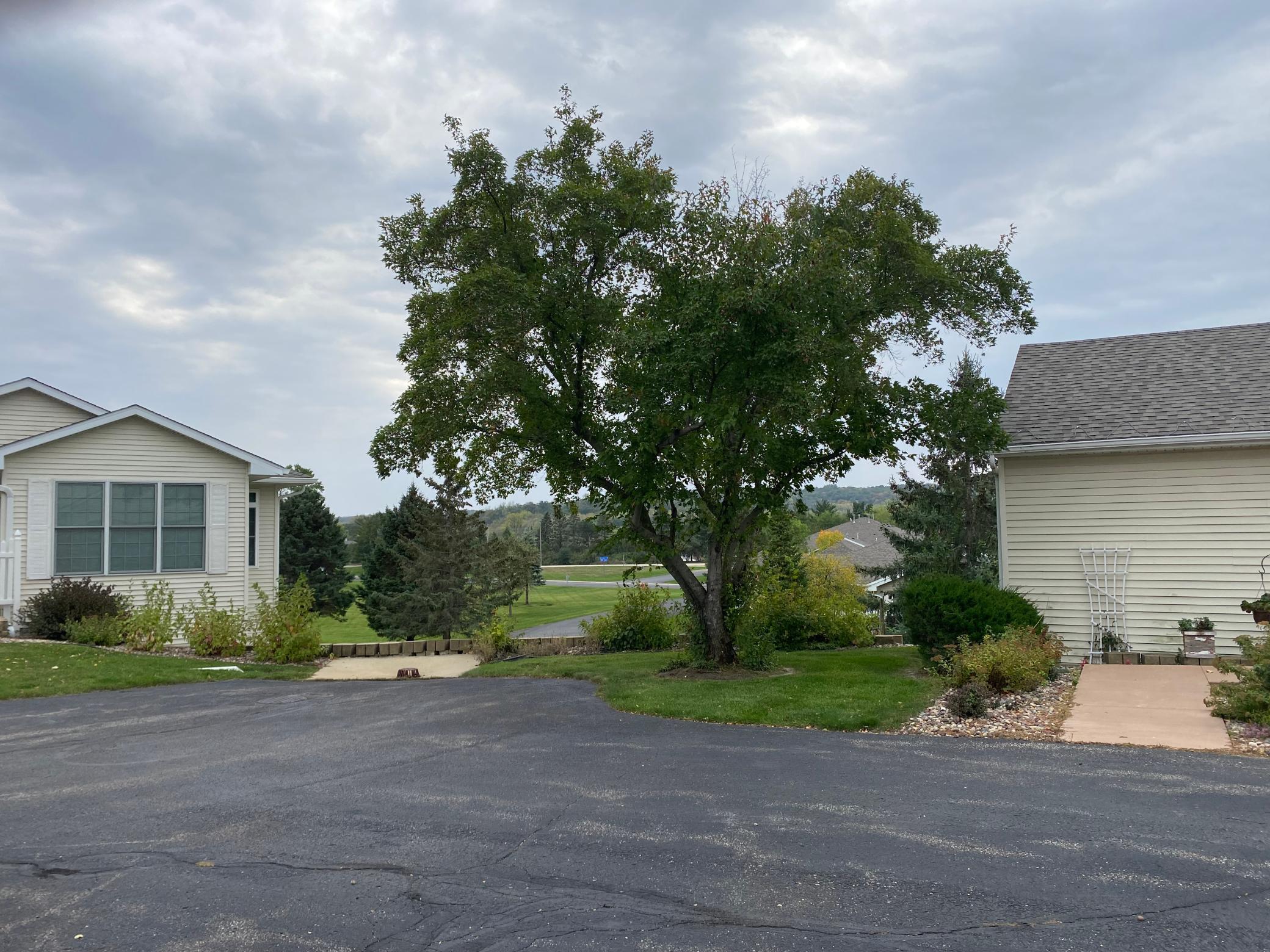 2822 Wellington Lane Southwest Rochester, MN 55902 - Photo 22 of 22
