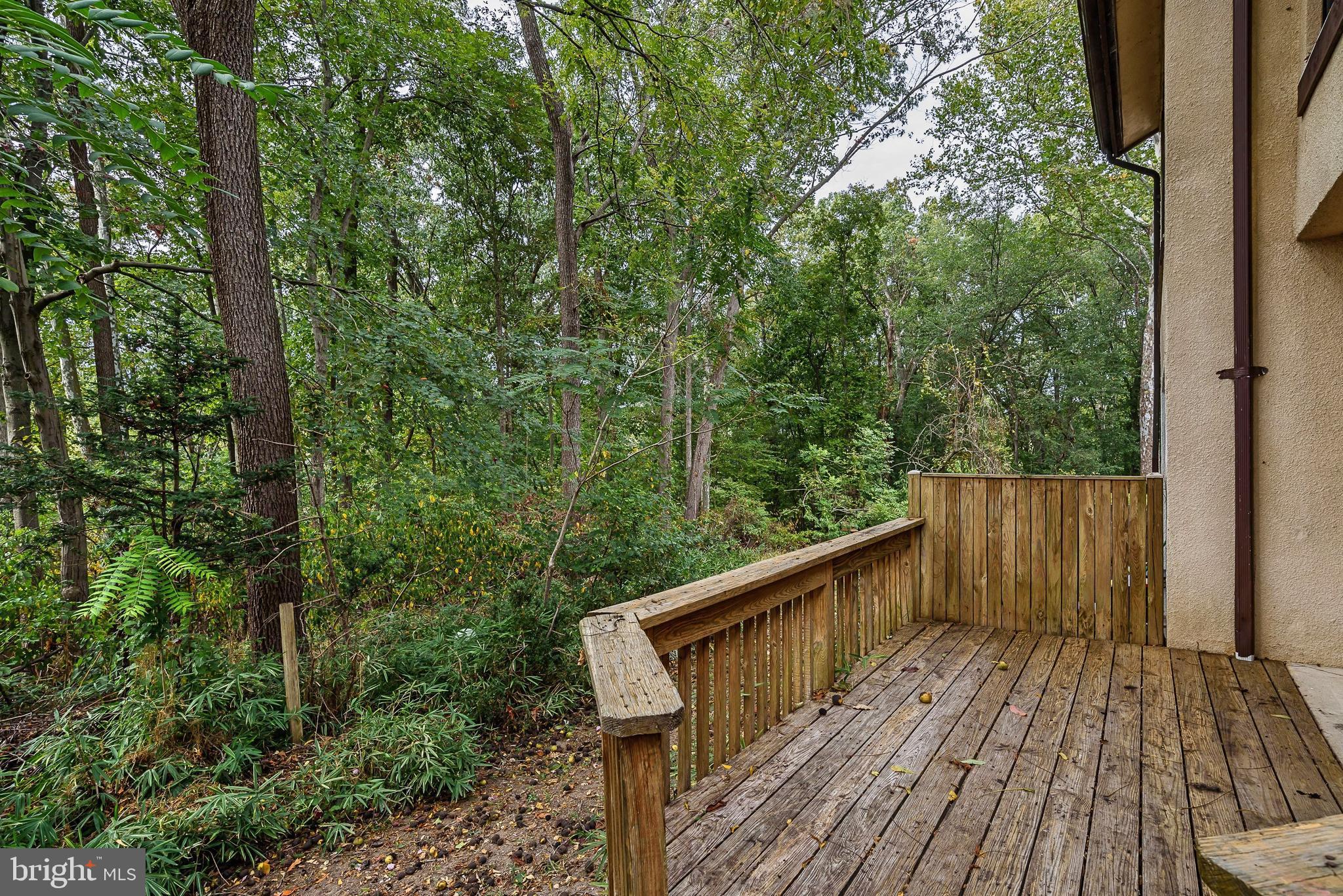 9634 Basket Ring Road Columbia, MD 21045 - Photo 37 of 38 Backyard View