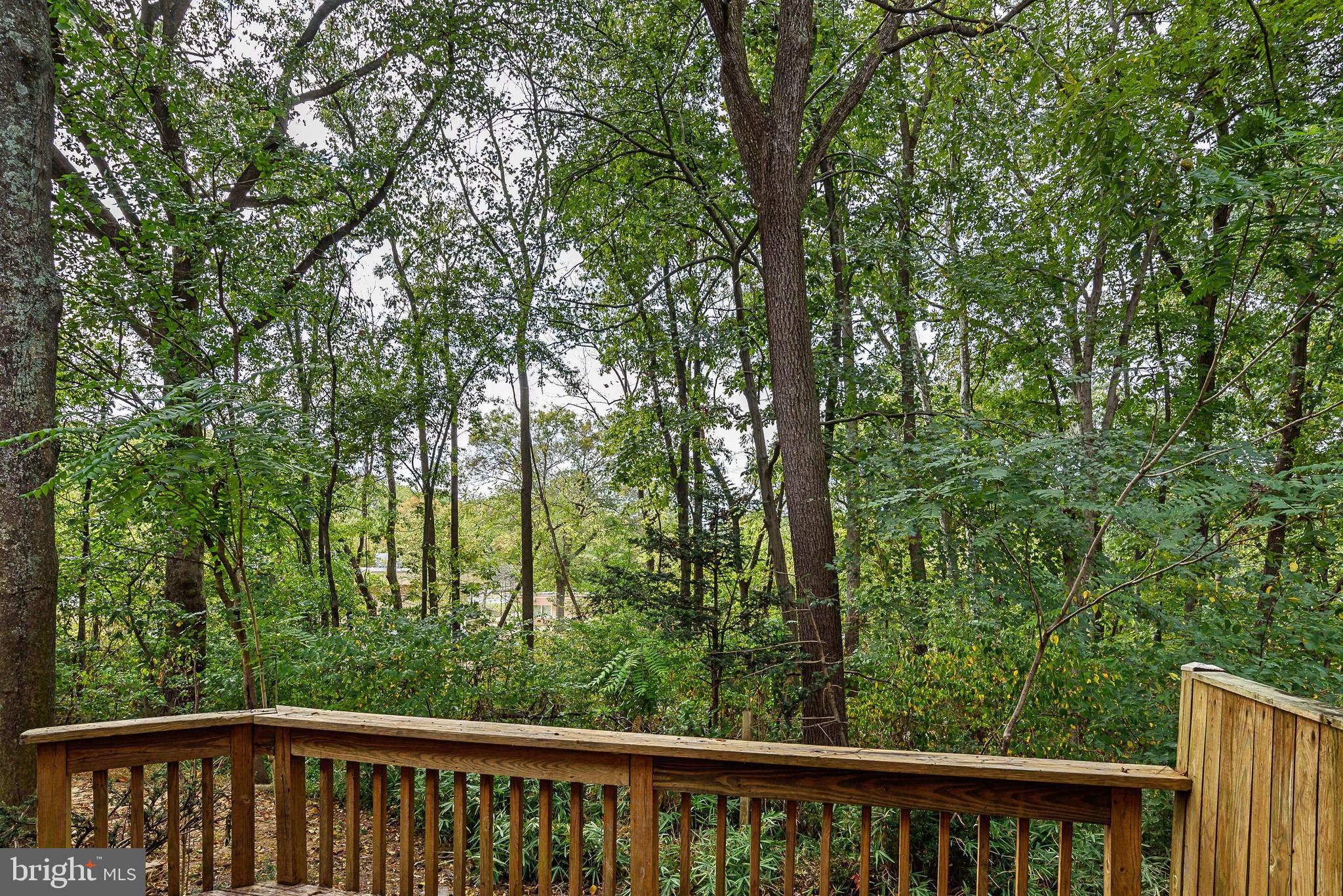 9634 Basket Ring Road Columbia, MD 21045 - Photo 38 of 38 Backyard View