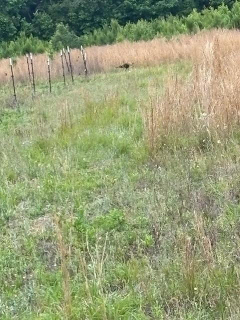 6880 Bloomville Road Manning, SC 29102 - Photo 25 of 29