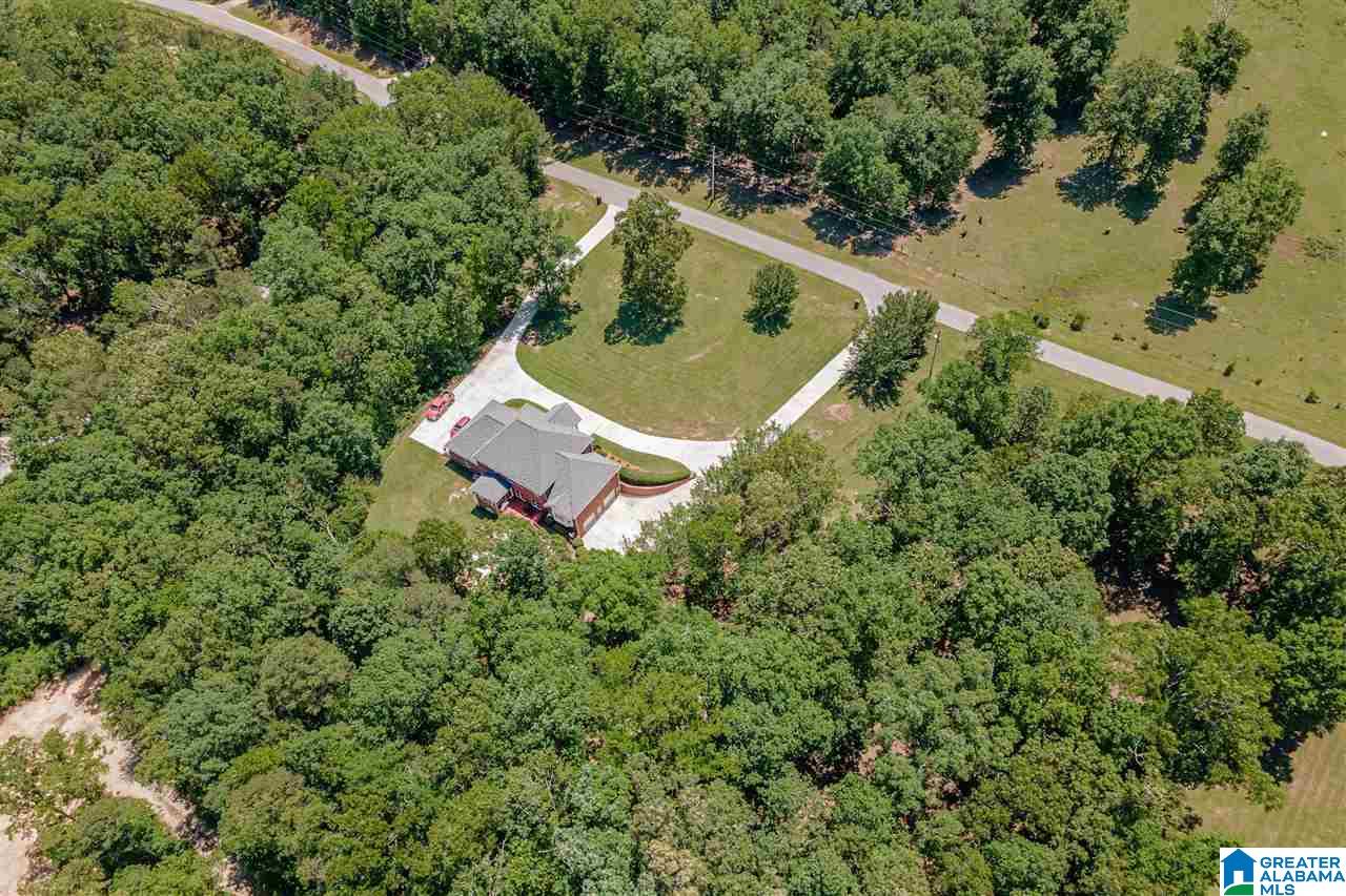 270 Country Hills Road Montevallo, AL 35115 - Photo 49 of 50