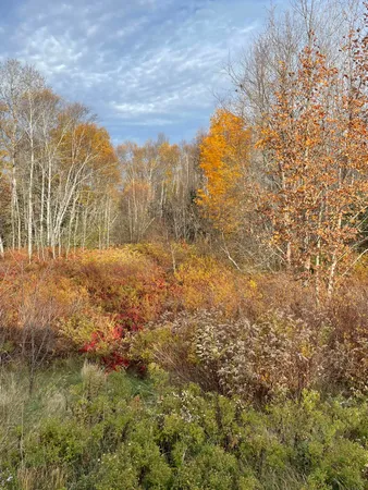 $249,900 | M16-l10 Huckins Cove Road, Calais, ME 04619