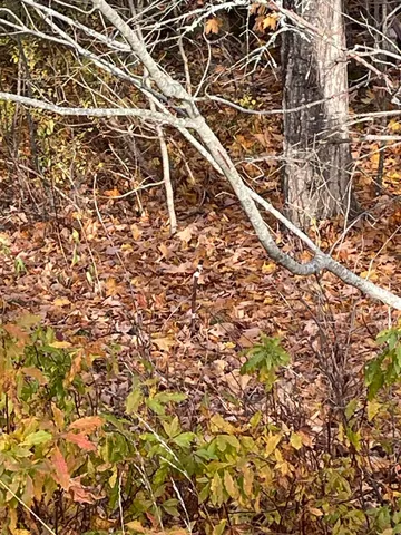 $249,900 | M16-l10 South River Road, Calais, ME 04619