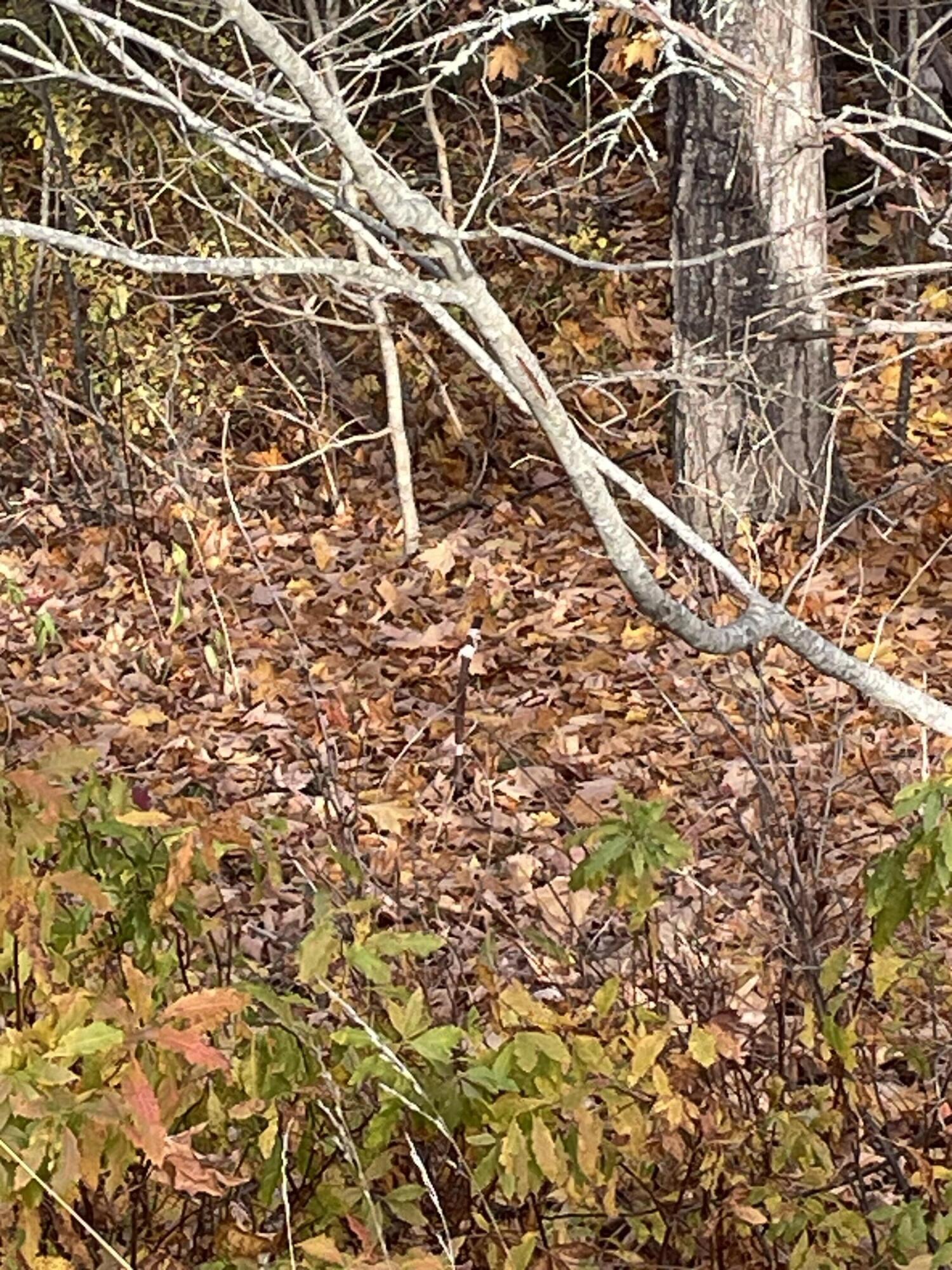 M16-l10 South River Road Calais, ME 04619 - Photo 6 of 9 IMG_3410