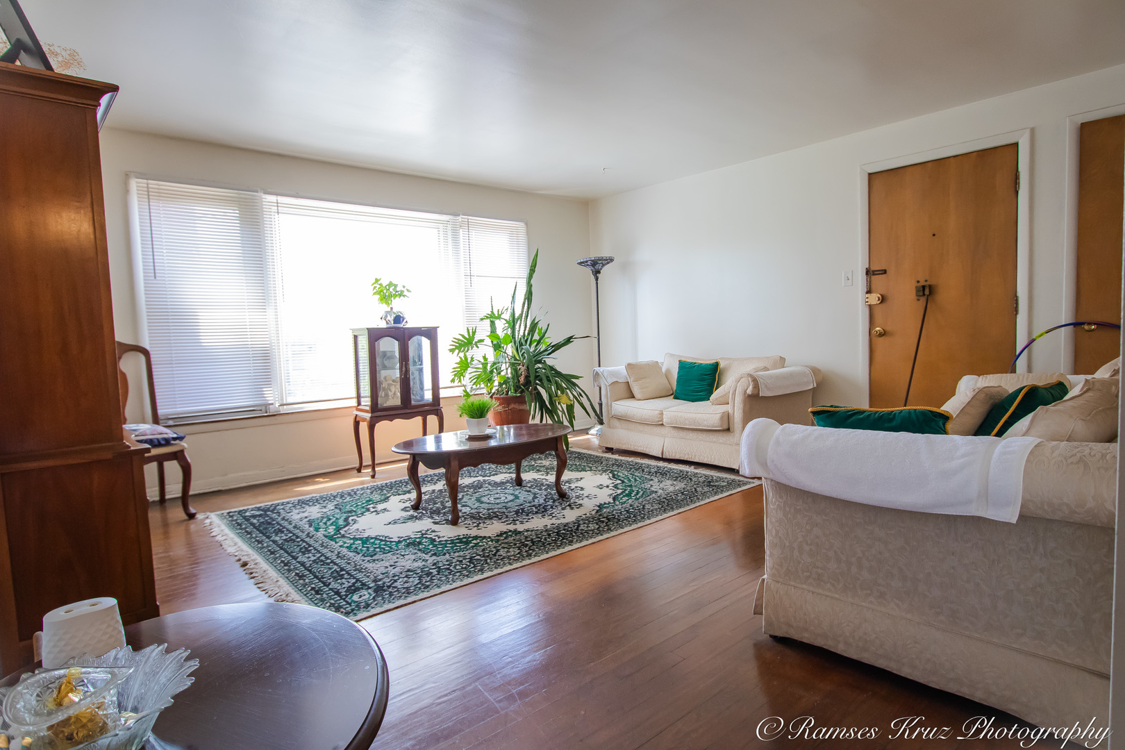 7844 South Jeffery Boulevard Chicago, IL 60649 - Photo 16 of 20 a living room with furniture and a potted plant