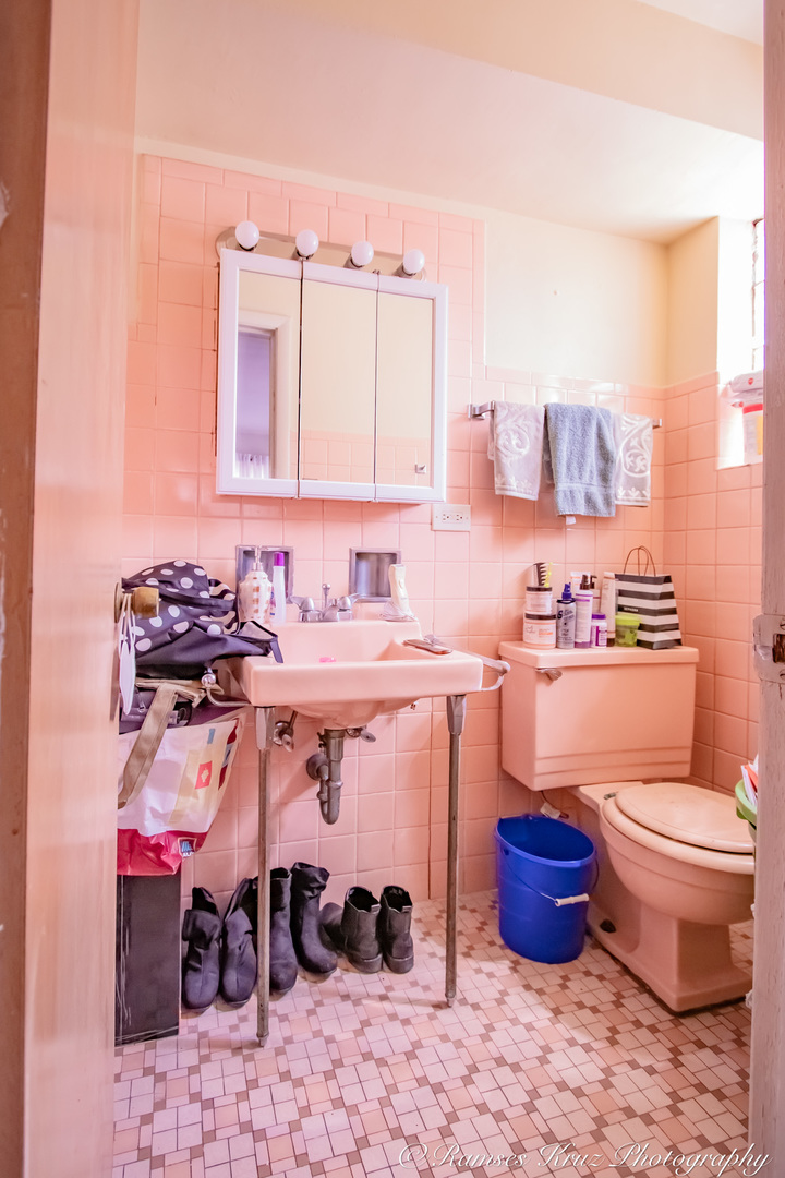 7844 South Jeffery Boulevard Chicago, IL 60649 - Photo 20 of 20 a bathroom with a sink toilet and mirror
