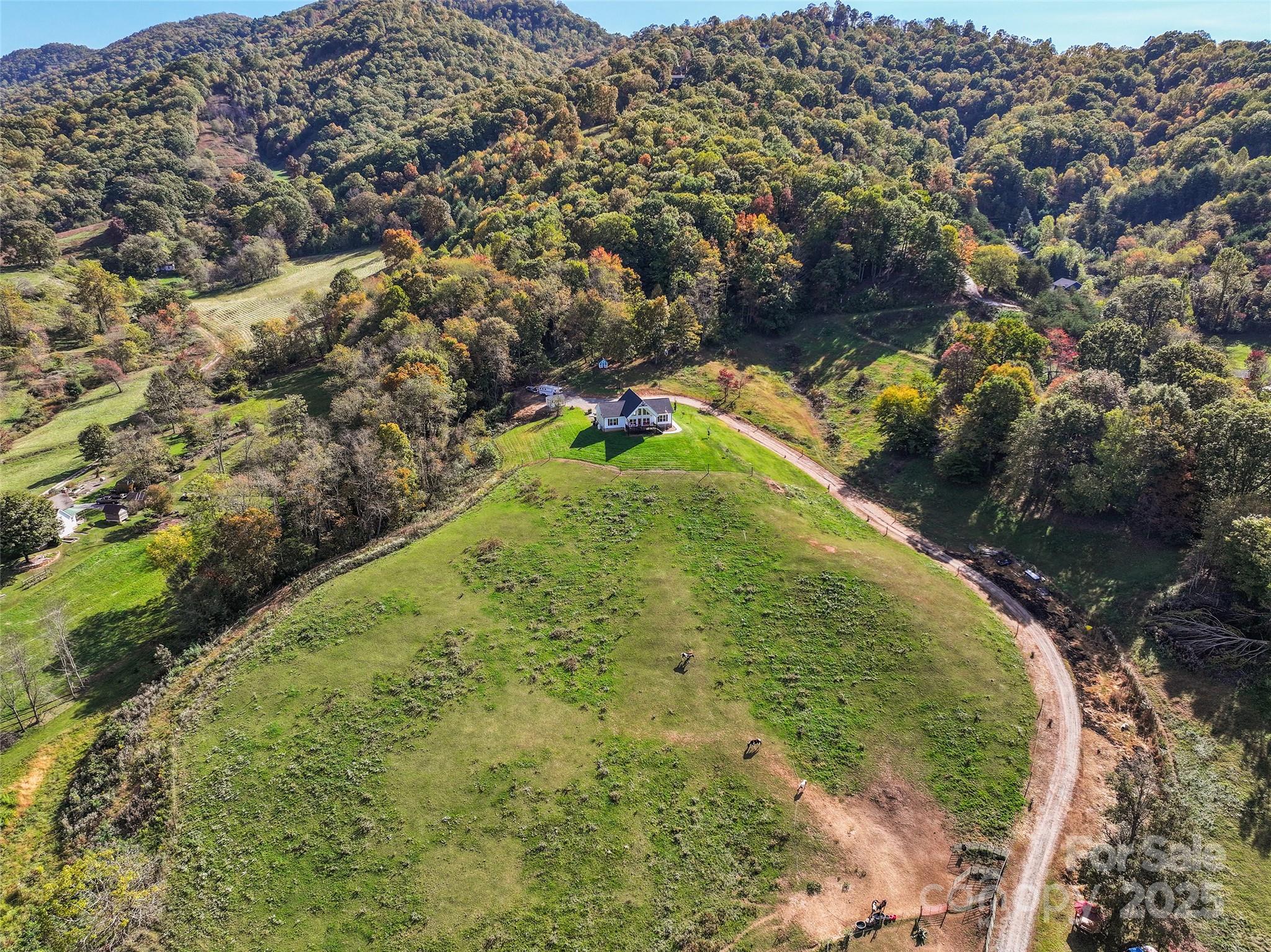 303 Johnson Farm Road Canton, NC 28716 - Photo 32 of 43