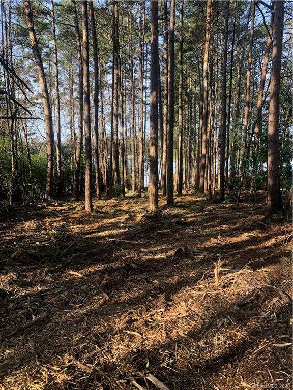 Na Primm Road Denver, NC 28037 - Photo 3 of 4 Gallery Image 3