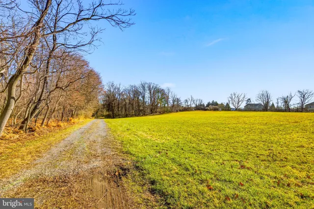 a view of yard and ocean view