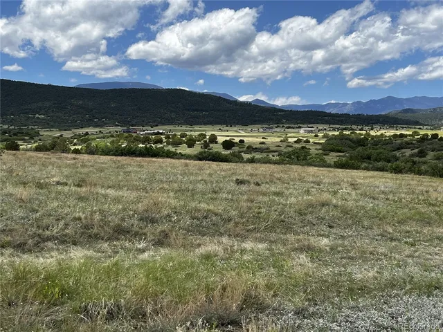 a view of a dry yard