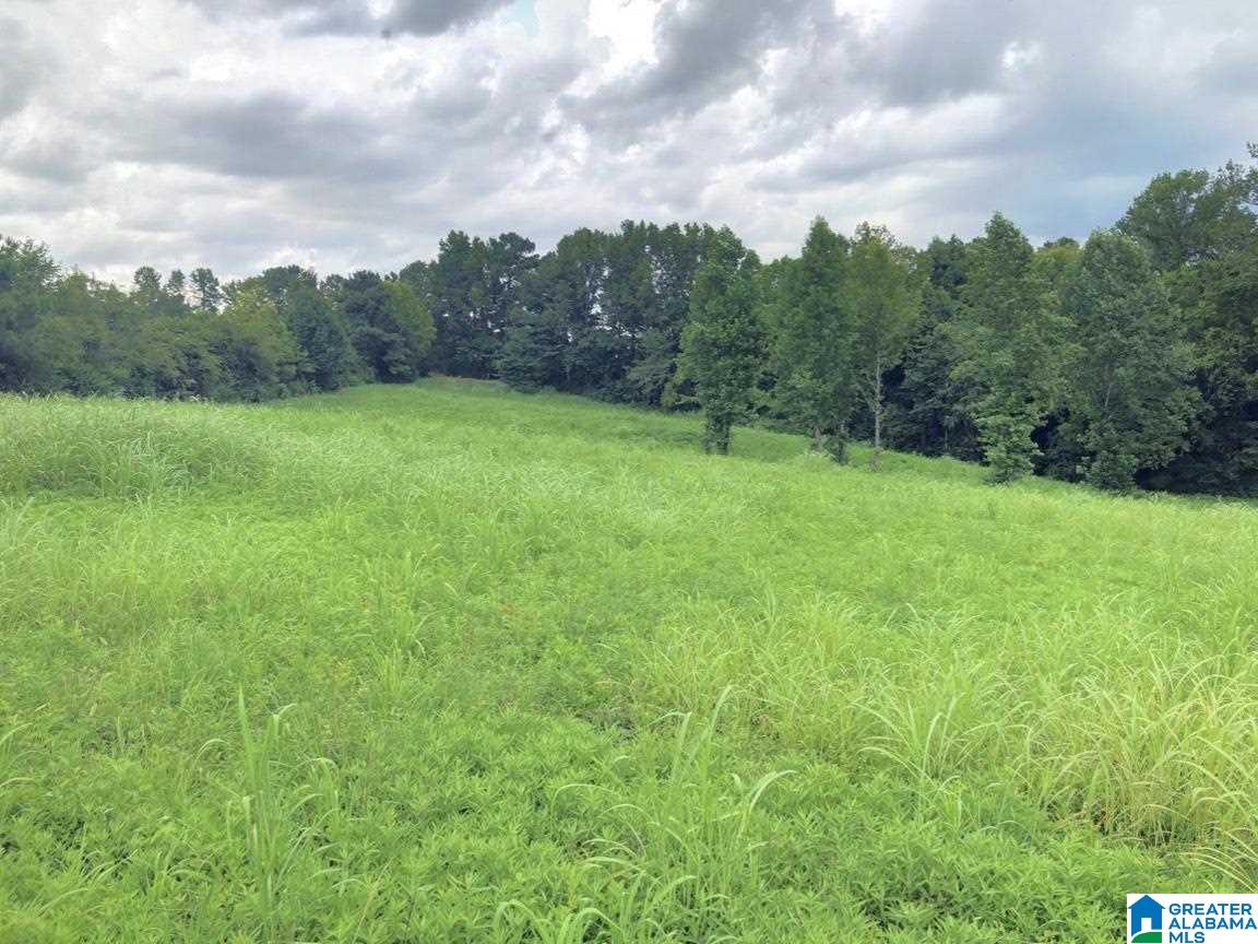 0 Runway Drive, Unit 1 Hayden, AL 35079 - Photo 2 of 9