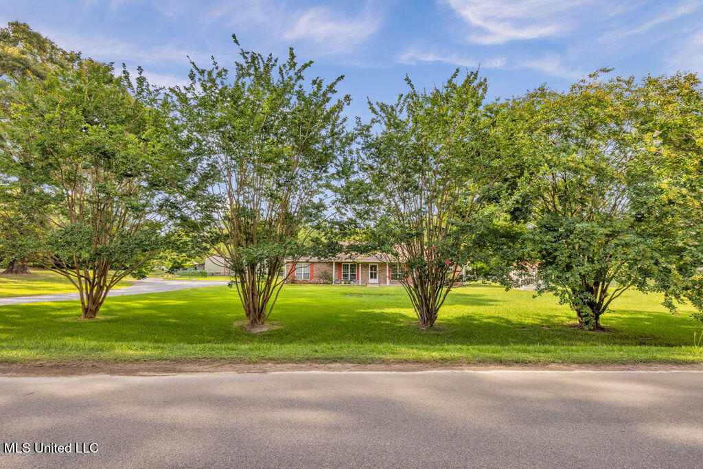 163 Inda Road Perkinston, MS 39573 - Photo 2 of 35 163NIndaRdE-2