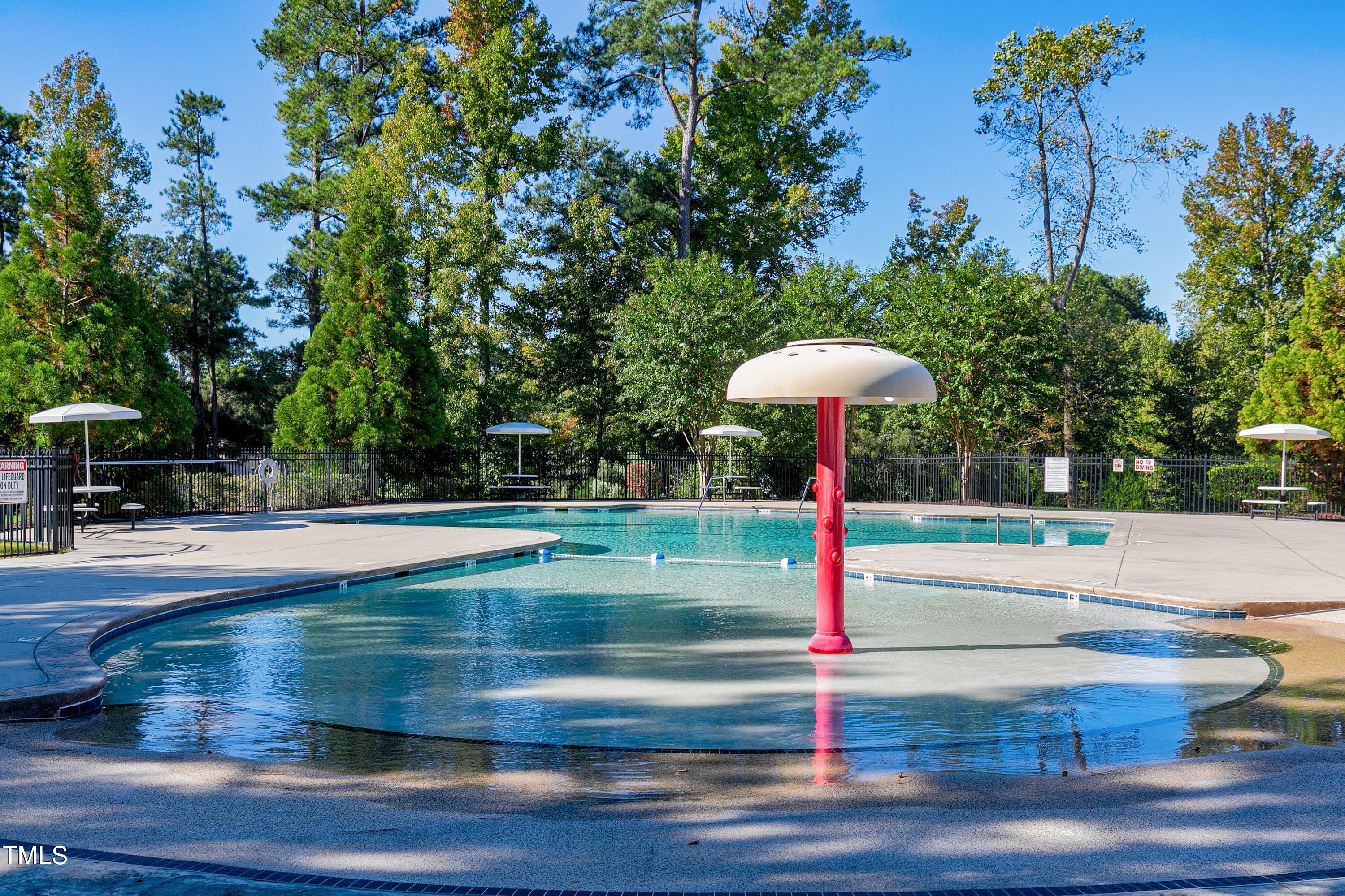 3939 Big Pond Court Raleigh, NC 27616 - Photo 46 of 47 Scene-48