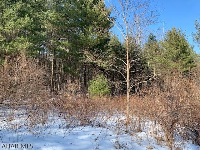 0 Lodge Road Crystal Spring, PA 15536 - Photo 7 of 54 Gallery Image 7